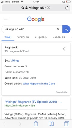 Vikings (2013 - 2020)