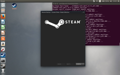  Linux Mint Steam sorunu