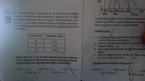 biyolojide çökme fazla olursa mı akrabalık fazla az olursa mı ???