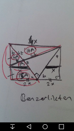  Geometri dörtgen soruları