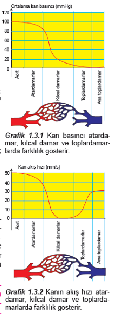  biyoloji iptal denilen sorular hakkında...