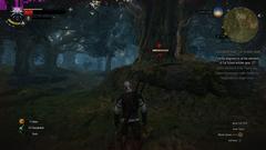 The Witcher 3 Wild Hunt [PS ANA KONU] | Rehber ilk sayfada