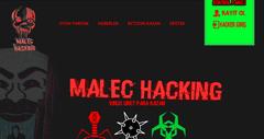 Malec Hacking Online Para Kazanma Oyunu