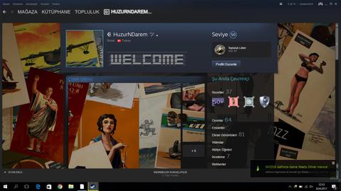 50 seviye Steam Hesabı Satılık