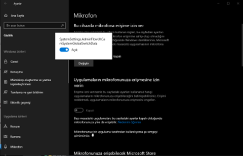 Windows 10 Mikrofon Gizlilik Ayarı Problemi