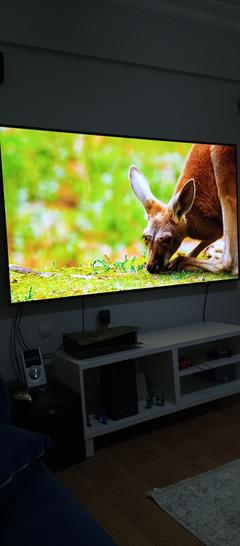 LG Oled 77CX Dev Ekran TV 4k 120Hz 195 ekran