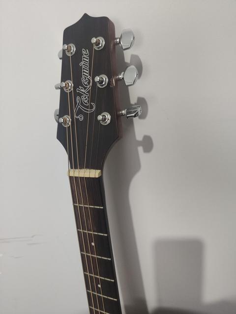 TAKAMINE GD10 NS