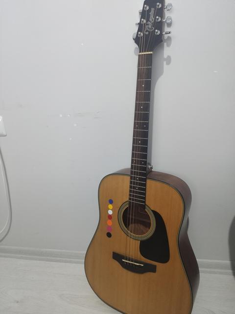 TAKAMINE GD10 NS