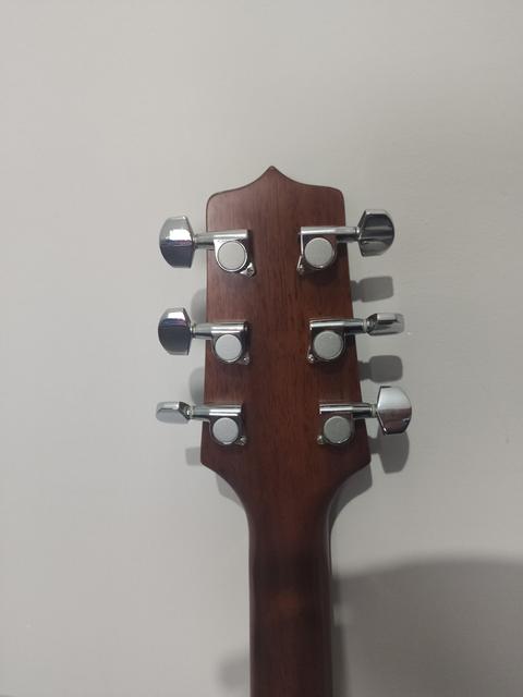 TAKAMINE GD10 NS