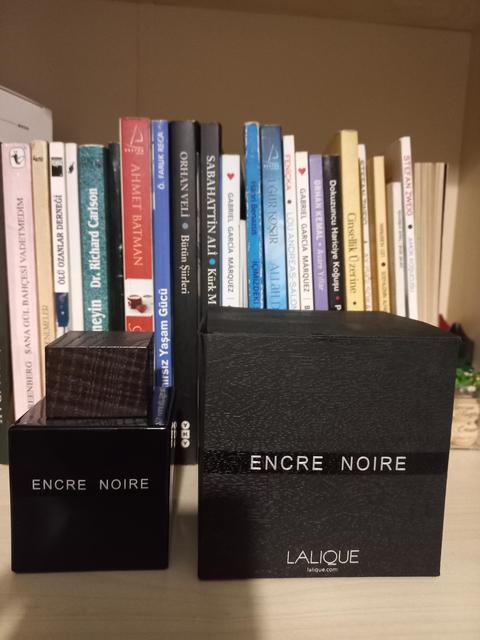 Lalique-Encre Noire