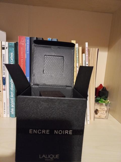 Lalique-Encre Noire