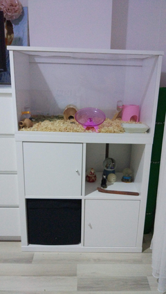 Satilik Hamster Kafesi Ozel Yapim Ikea Kallax Ile Tam Uyumlu