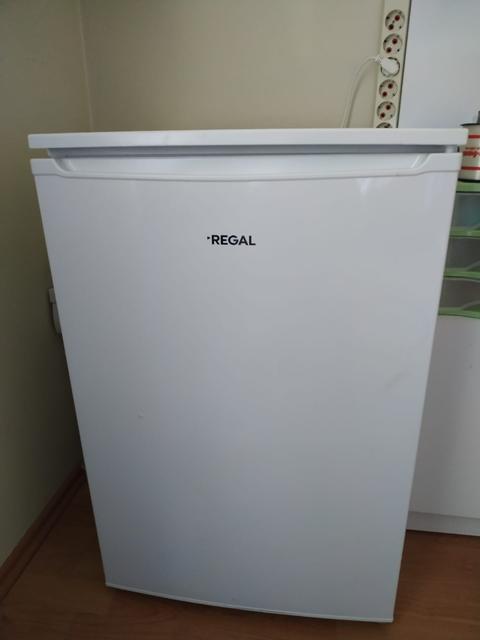 REGAL CDRY 1101 A+ Derin Dondurucu