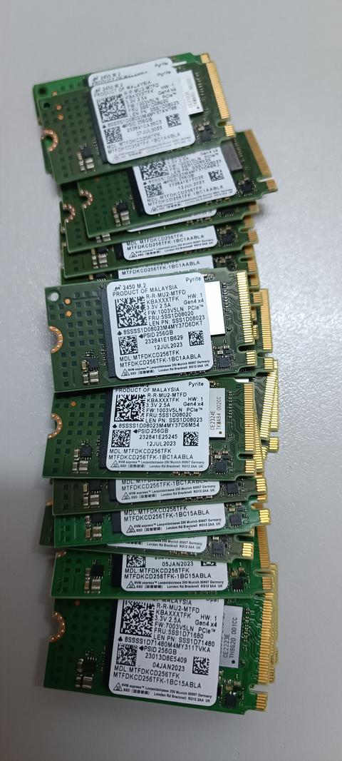 256 GB Micron 2450 M2 Gen4 Nvme SSD Playstation 5 Uyumlu