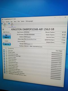 Kingston 256 GB M2 NVME SSD Sofır