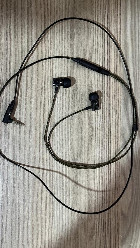 Sennheiser ie800