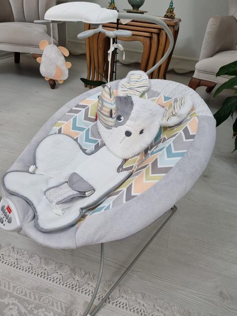 [SATILDI] Fisher Price Sweet Snugapuppy Delüks Ana Kucağı - 400 TL