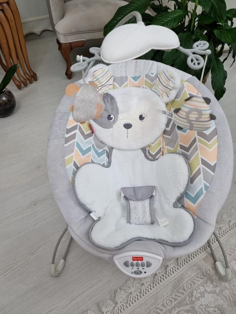 [SATILDI] Fisher Price Sweet Snugapuppy Delüks Ana Kucağı - 400 TL