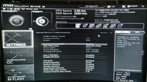 TPM 2.0 Etkinleştiremiyorum Anakart=MSI B450M Pro-m2 Max