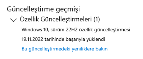 Windows 10 22H2 güncellemesi herkes için yayınlandı: Windows 10 2022 güncellemesi nasıl yapılır?