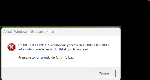 Metin 2 oynarken: "Anka2: Windows - Uygulama Hatası"