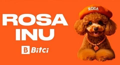 Rosa Token sahneye çıkıyor