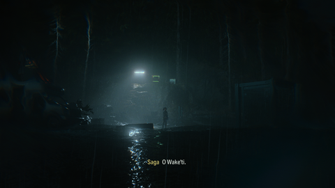 Alan Wake 2 [PC ANA KONU]