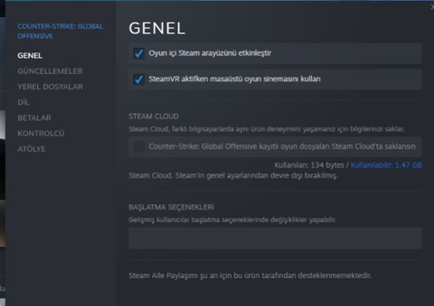 CS go Sürekli Güncelleme sorunu