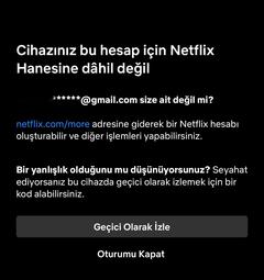 Netflix Kardeşliği Ana Konu - (Netflix grup kurmak isteyenlere özel)