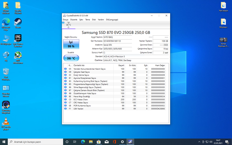 Samsung 870 Evo SSD Değerler Çok Düşük