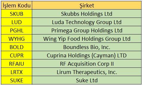 Yakın Dönem ABD Halka Arz Listesi