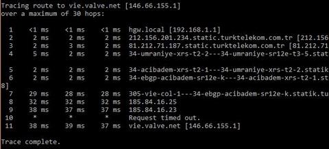 vie.valve.net ping sonucumuzu paylaşalım.