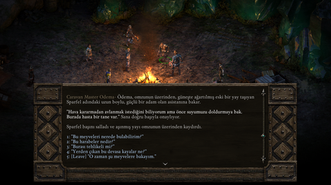 Pillars of Eternity - Definitive Edition Translate Türkçe Yama V1.1