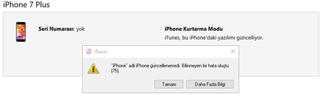 iPhone Güncellenemedi (75)