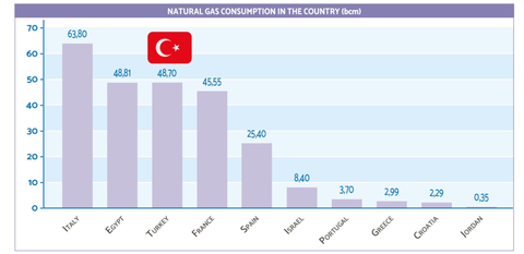 Türk Dış Politikası Gündemi - OCAK 2021