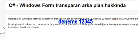 C# - Windows Form transparan arka planda text sorunu