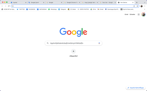 Google Chrome'da Yazı Sorunu