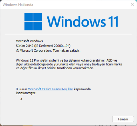 Windows 11 23H2 REHBER | 23 NİSAN 22631.3527 | Faydalı Anlatımlar, Yeni Haberler [ANA KONU]