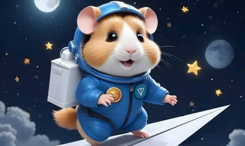 Hamster Kombat Airdrop Kılavuzu + Davet Bağlantısı