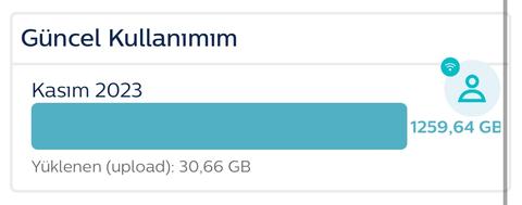 Bu ay kaç gb internet kullandınız?