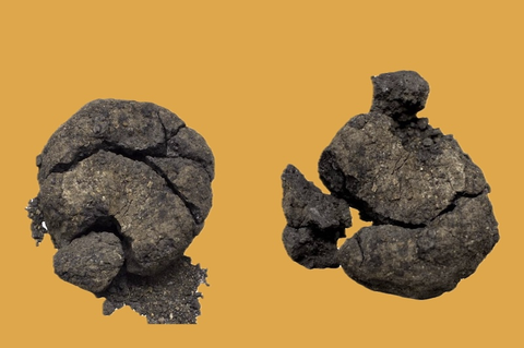 Çatalhöyük Sürprizlerini Sunmaya Devam Ediyor: 8.600 Yıllık Ekmek
