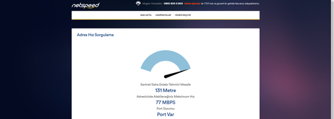 Netspeed Sürekli internet kopması