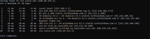 vie.valve.net ping sonucumuzu paylaşalım.