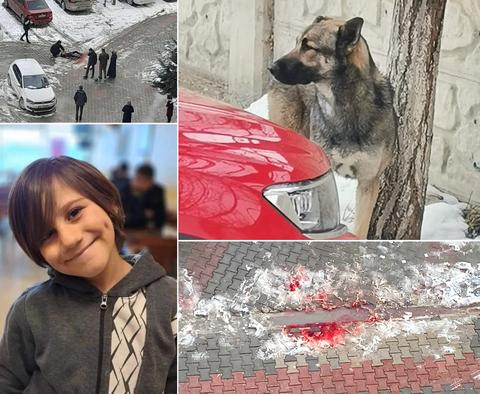 2 günde 2. ölüm Mete Durna Başıboş köpek tarafından boğazı parçalanarak ÖLDÜ!