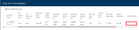 bakım sonrası modem ip almıyor