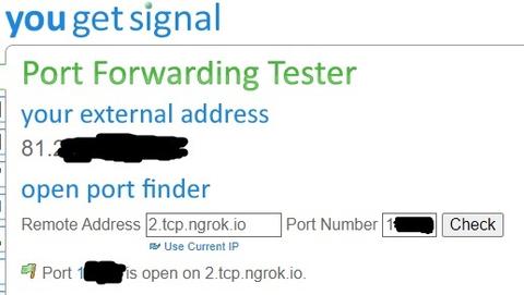 Tüm İSS'ler için ngrok kullanarak CGNAT IP ile port açma rehberi [Linux]