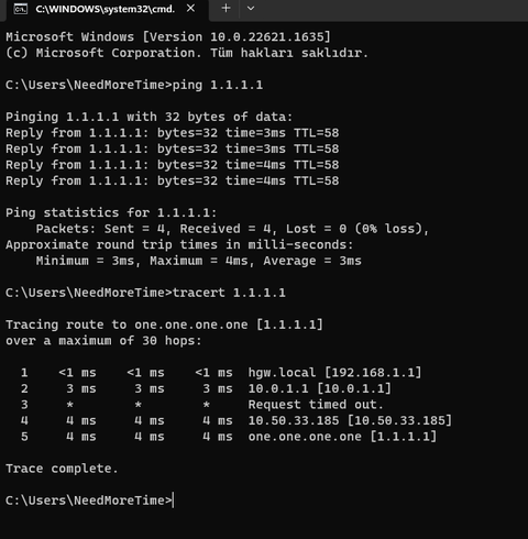 NetBone Telekom 100 mbit 209 TL