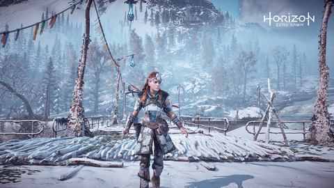 Horizon Zero Dawn Complete Edition (2020) [PC ANA KONU]