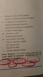 https://forum.donanimhaber.com/cache-v2?path=https%3a%2f%2fforum.donanimhaber.com%2fstore%2fb7%2f42%2fac%2fb742acacbf1f7750b8d270b9435e63a6.jpeg&t=1&text=0&width=87