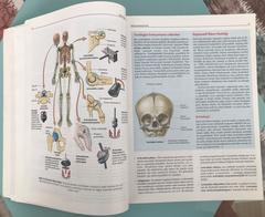 Kliniğe Yönelik Anatomi 4.Baskı Keith L.Moore - 120 TL